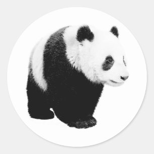 Zwart-witte Panda Ronde Sticker