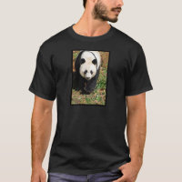 Zwart-witte Panda