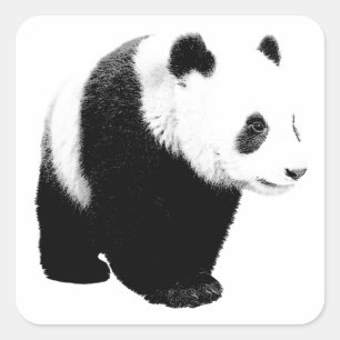 Zwart-witte Panda Vierkante Sticker