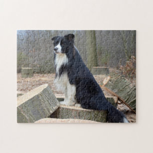 Zwart-witte rand collie legpuzzel