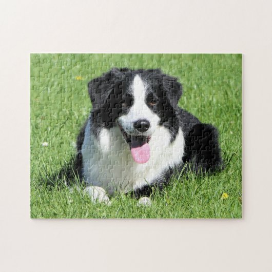Zwart-witte rand collie legpuzzel (Horizontaal)