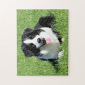 Zwart-witte rand collie legpuzzel (Verticaal)