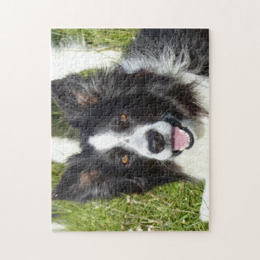 Zwart-witte rand collie legpuzzel (Verticaal)