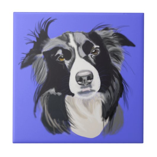 Zwart-witte rand collie tegeltje (Voorkant)