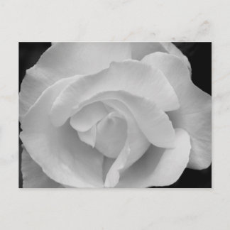 Zwart-witte roze briefkaart
