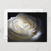 Zwart-witte roze briefkaart (Voorkant / Achterkant)