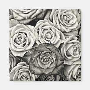Zwart-witte rozen magneet