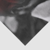 Zwart-witte rozen vervagen tissuepapier (Detail)