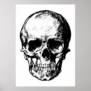 Zwart-witte schedelillustratie poster