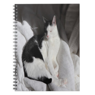 Zwart-Witte Slaande Kat/Voeg Foto van Je Huisdier Notitieboek