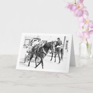 Zwart-witte Spaanse paarden portret Kaart
