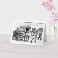 Zwart-witte Spaanse Paarden Portret