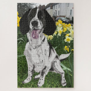 Zwart-witte Springer Spaniel tegenover Narcissen Legpuzzel