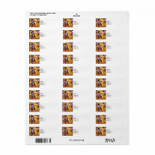 Zwart-witte stripvis etiket (Full Sheet)