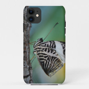 Zwart-Witte Tijgervlinder iPhone 11 Hoesje