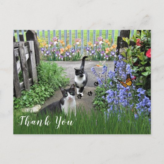 Zwart-witte Tuxedo Katten in tuin Dank u Briefkaart (Voorkant)
