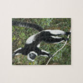 Zwart-witte vari legpuzzel (Horizontaal)