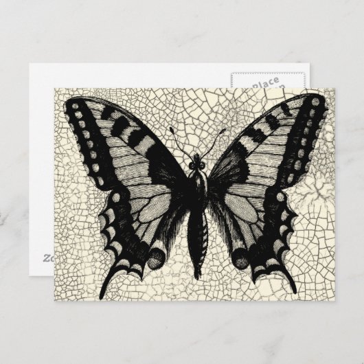Zwart-witte vlinder op gekraakte achtergrond briefkaart (Voorkant / Achterkant)