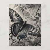 Zwart-witte vlinder tekening briefkaart (Voorkant)