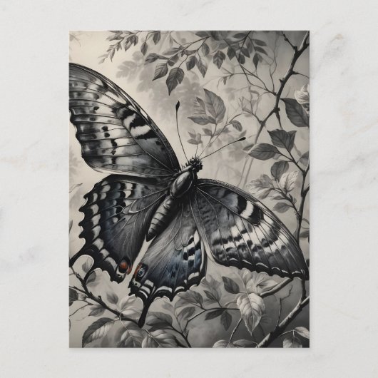 Zwart-witte vlinder tekening briefkaart (Voorkant)