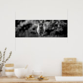 Zwart-witte vos poster (Keuken)