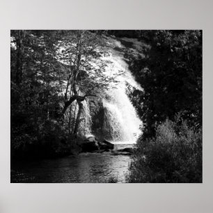 Zwart-witte waterval door de bomen 16x20 poster
