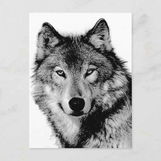 Zwart-witte wolf briefkaart (Voorkant)