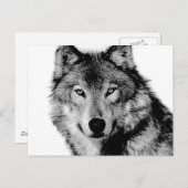 Zwart-witte wolf briefkaart (Voorkant / Achterkant)