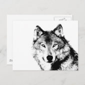 Zwart-witte wolf briefkaart (Voorkant / Achterkant)