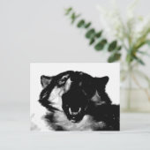 Zwart-witte wolf briefkaart (Staand voorkant)