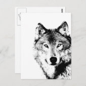 Zwart-witte wolf briefkaart (Voorkant / Achterkant)