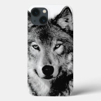 Zwart-witte wolf
