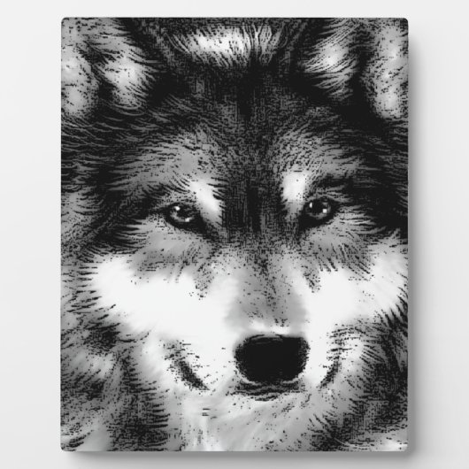 Zwart-witte wolf fotoplaat (Voorkant)