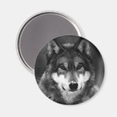 Zwart-witte wolf magneet (Voorkant / Achterkant)