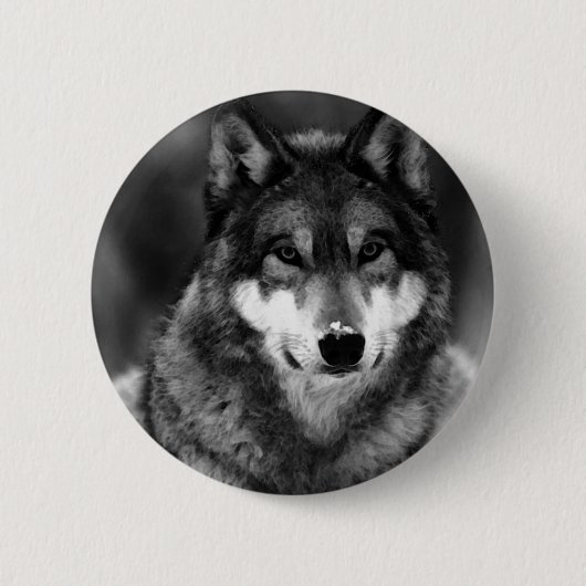 Zwart-witte wolf ronde button 5,7 cm (Voorkant)