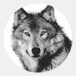 Zwart-witte wolf ronde sticker