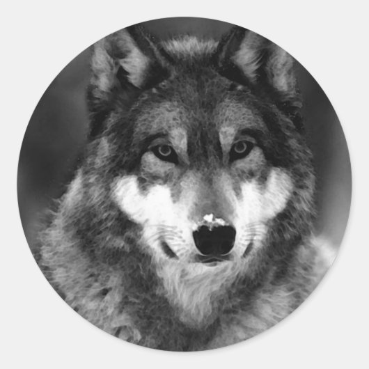 Zwart-witte wolf ronde sticker (Voorkant)