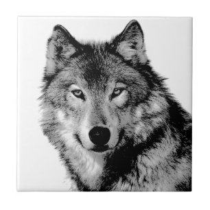 Zwart-witte wolf tegeltje
