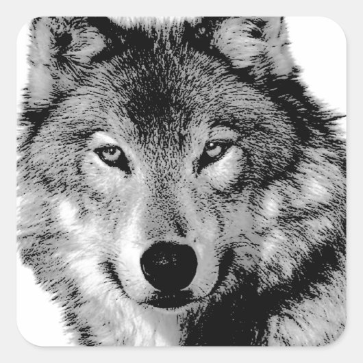 Zwart-witte wolf vierkante sticker (Voorkant)