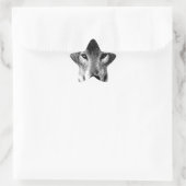 Zwart-witte wolfogen ster sticker (Tas)