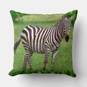 Zwart-witte zebra in de jungle kussen