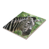 Zwart-witte Zebra Tegeltje (Zijkant)