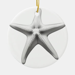 Zwart-witte Zeester Keramisch Ornament