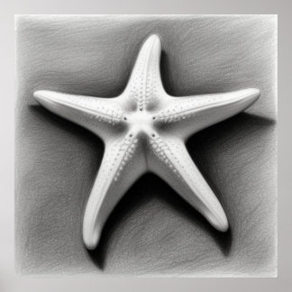 Zwart-witte Zeester Poster