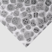 Zwart-witteband afdrukpapier tissuepapier (Detail)