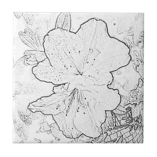 Zwart-witteband Tegeltje (Voorkant)