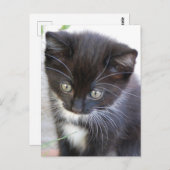 Zwart-witten Briefkaart (Voorkant / Achterkant)