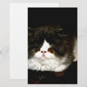 Zwart-witten Briefpapier (Voorkant / Achterkant)