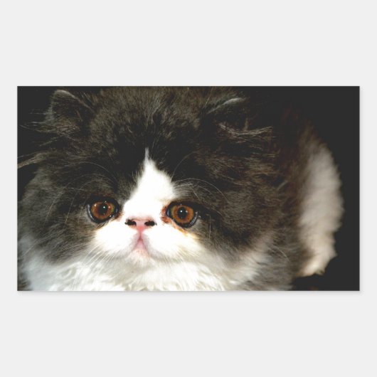 Zwart-witten Rechthoekige Sticker (Voorkant)