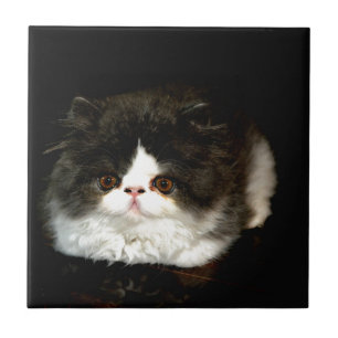 Zwart-witten Tegeltje